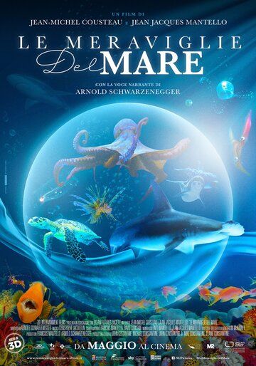 Чудеса моря в 3D (2017)
